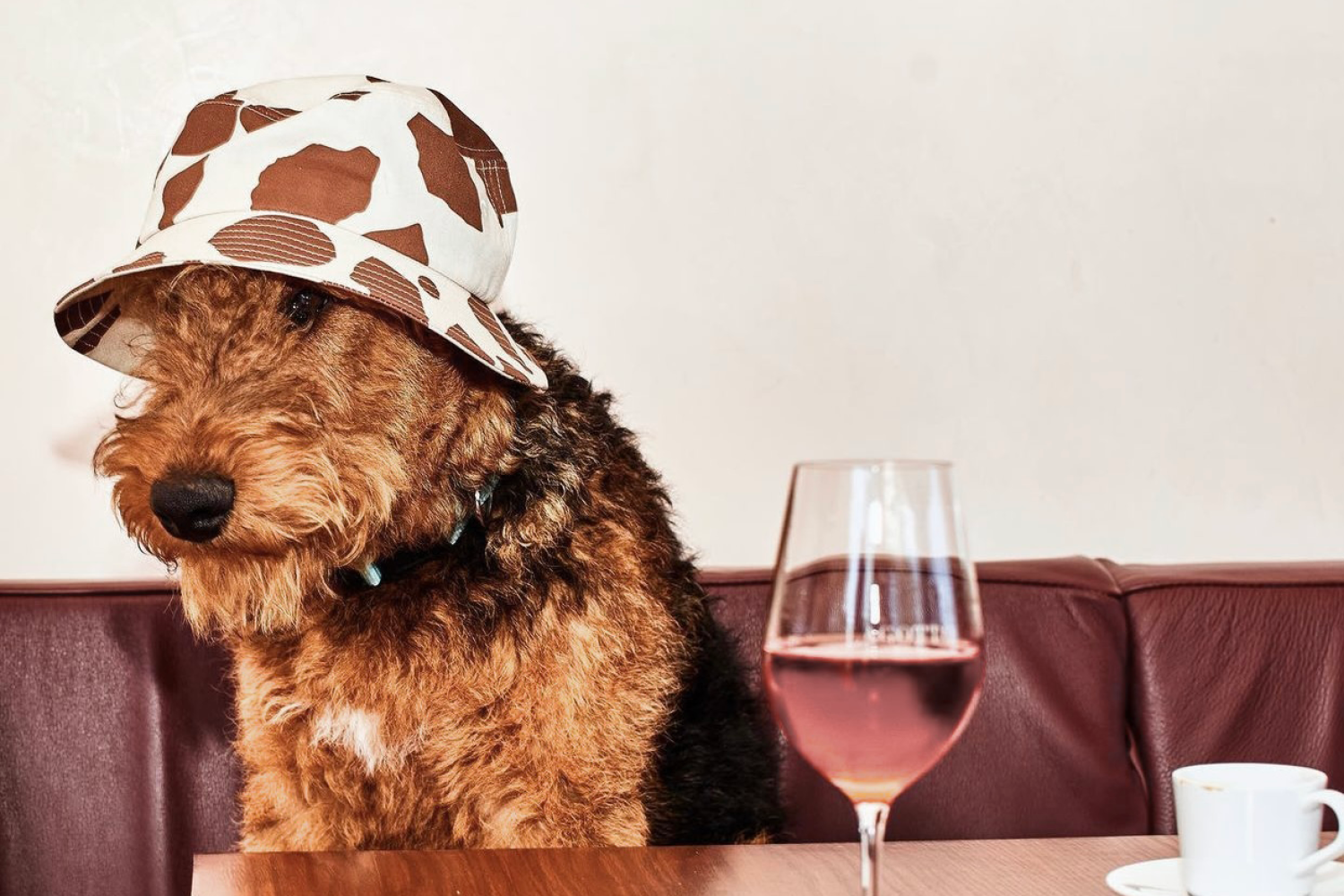 Dog Friendly Dining