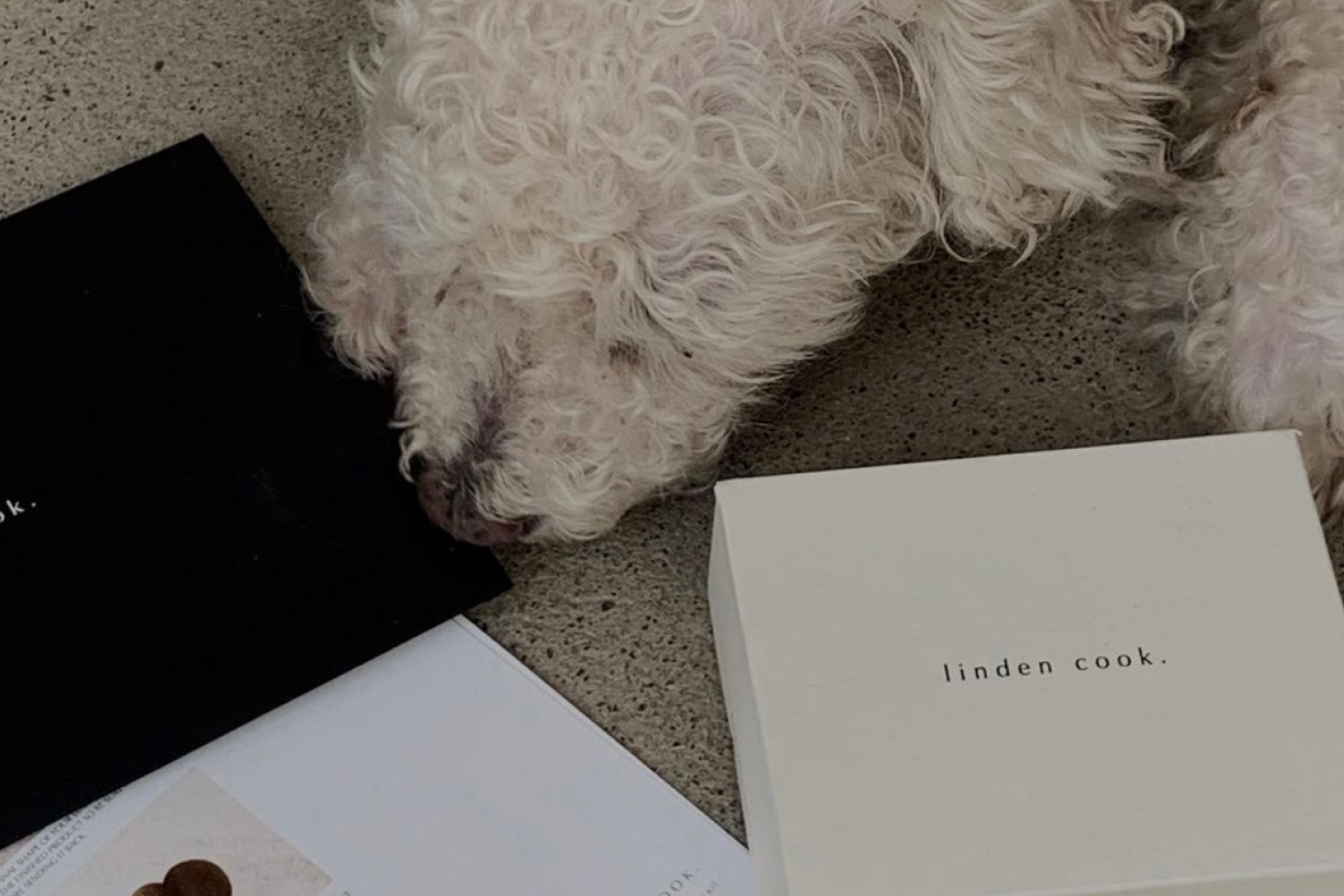 Linden Cook
