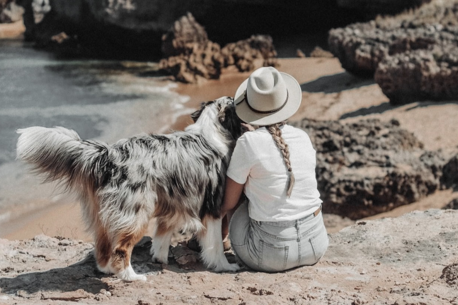 Travelling with your Dog