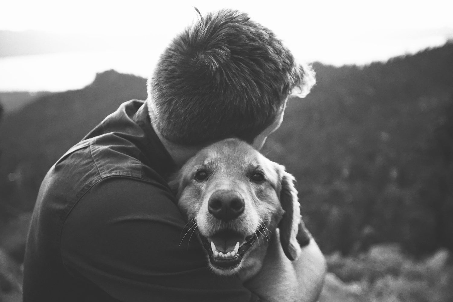 Father's Day Gift Guide