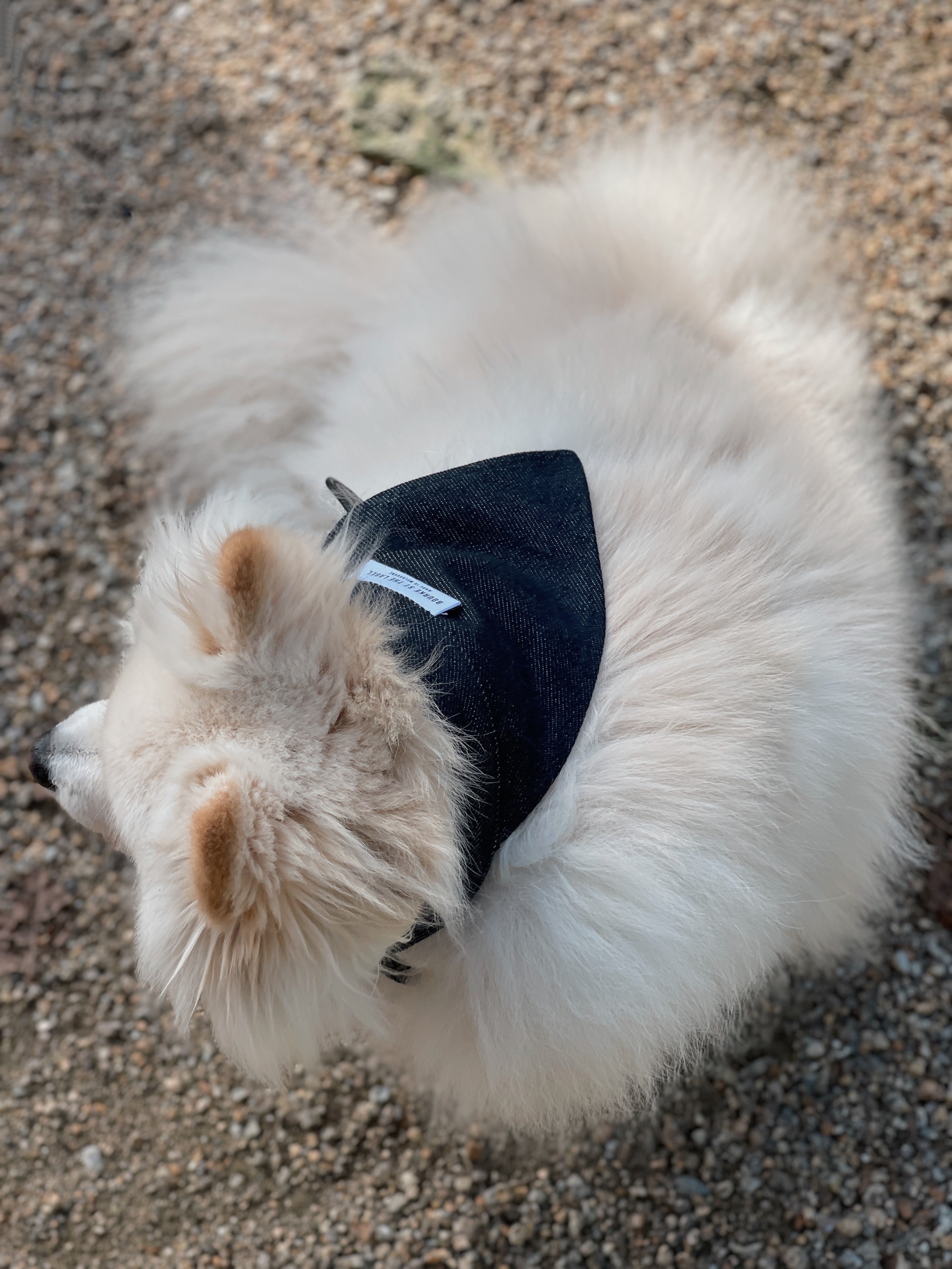 Bourke St the Label - Dog Bandana Denim
