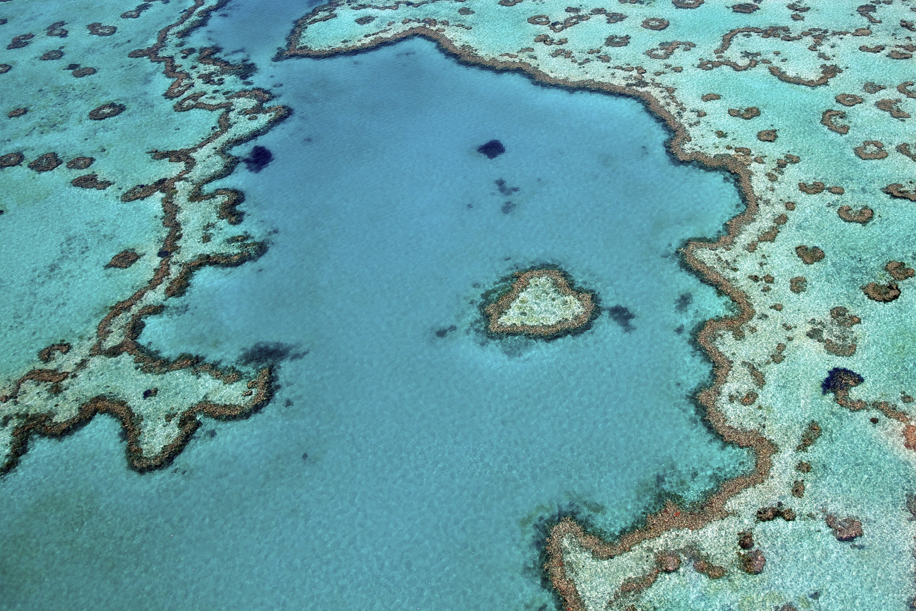 Bourke St the Label iChange Restore the Reef