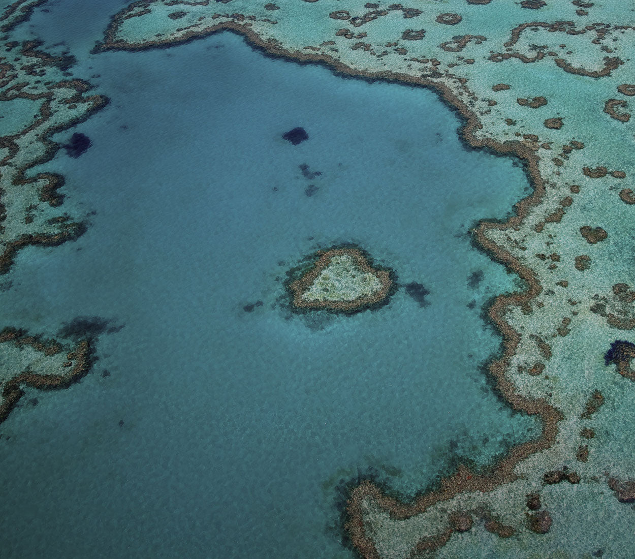Bourke St the Label iChange Restore the Reef