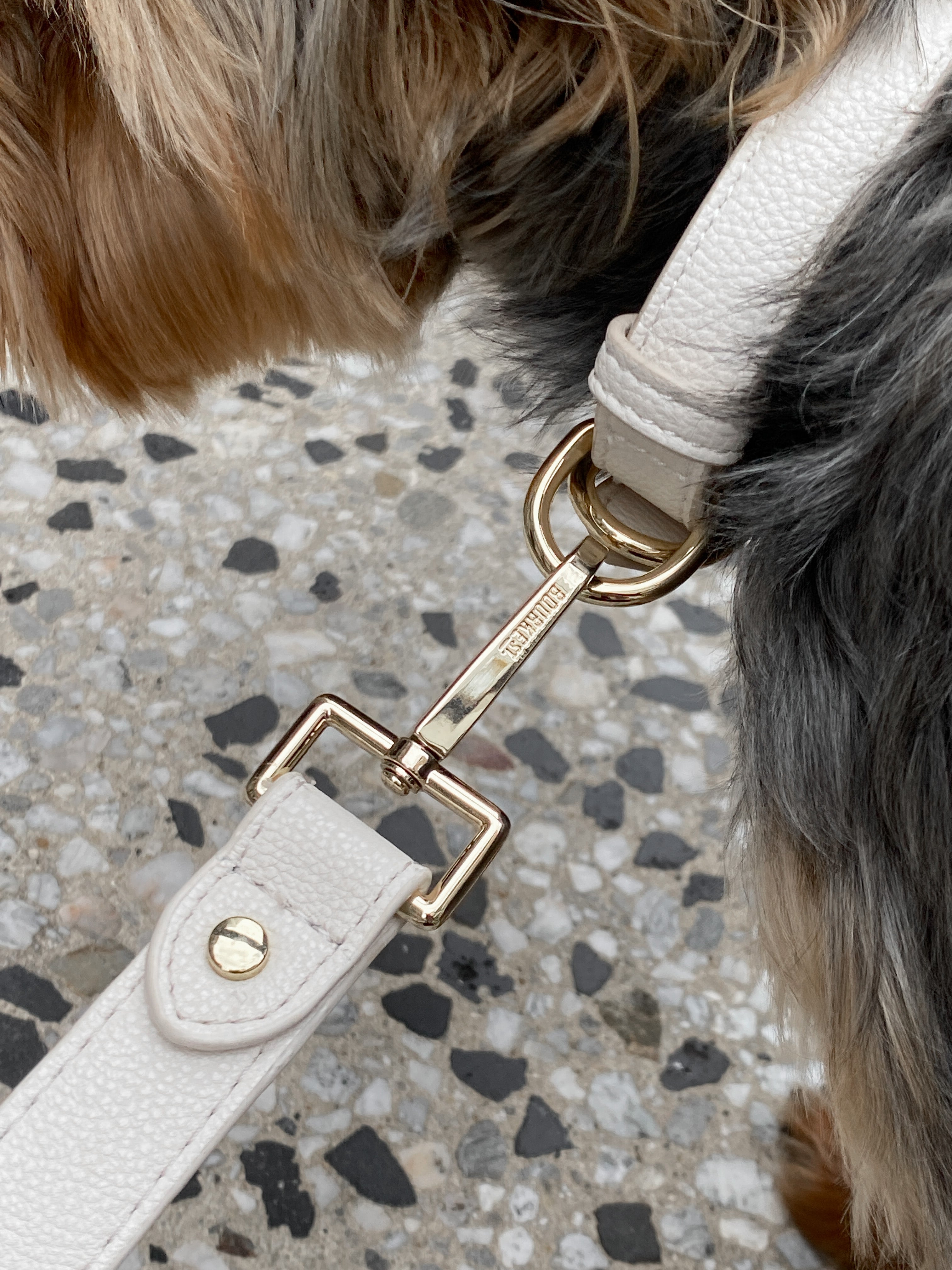 Cream Leather Dog Collar