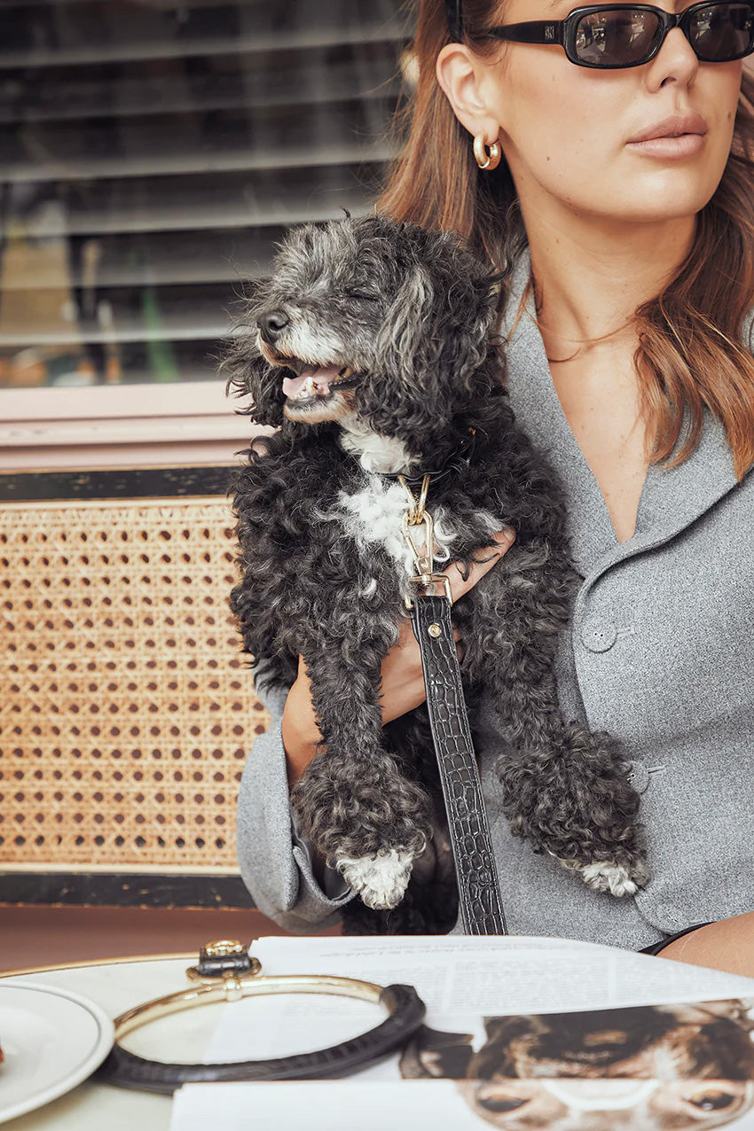 GIFT GUIDE: Pet accessories brand launches debut collection