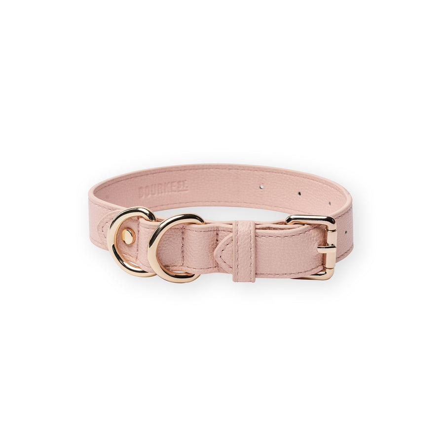 Designer Cream Leather and Rose Dog Collars in Melbourne | Bourke St ...